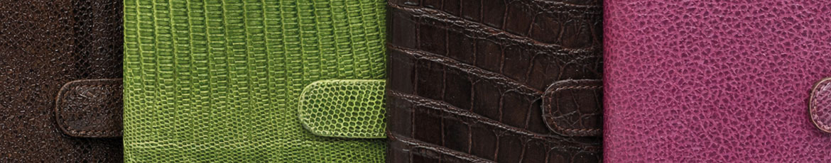 Organizer Filofax Planner Trixi Gronau 2026