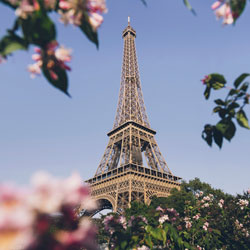 Paris Mon Amour