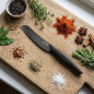 Preview: Paul Adrian Barbecue Knife Beluga Ebony black DLC, style with herbs