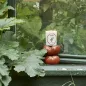 Preview: Carrière-Frères, Duftkerze, Tomato, im Glas, style tomato