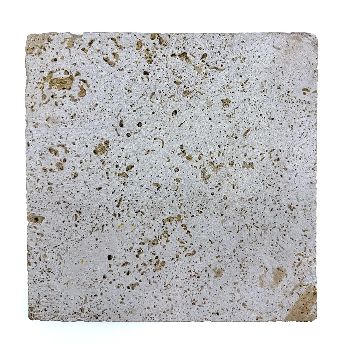 Preview: Travertine Coaster Fond Marin Seabed 20 x 20 cm by Trixi Gronau, back