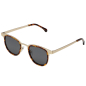 Preview: Komono Francis Sonnenbrille Steel White Gold | Havanna, blau.braun getönte Gläser , Seitenansicht
