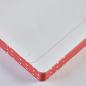Preview: Nuuna, Notizbuch,Flex-Cover aus recyceltem Leder Seiten Punktraster, bedruckt blau-rot-weiss-gruen, Heartcore, detail Seite
