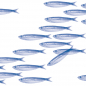 Preview: Paviot, Serviette, Banc de Sardines, Fische, Strandparty, blau,