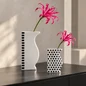 Preview: Reichenbach ASTI and ASTA monochrome porcelain vases styled with vibrant pink flowers