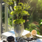 Preview: Reichenbach Porzellanvase, Koikoi, gruen, edition 2025, Design Paola Navone, front