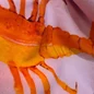 Preview: Detail des Simone Bruns Beach Towels Crab & Lobster in Rosa und Orange aus Baumwolle