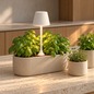 Preview: White Sompex PEEKY plant light illuminating fresh basil on a kitchen island, background AI visualisation