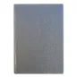 Preview: metallic silver colored A4 Notebook, Skivertex bound, Diary, Trixi Gronau