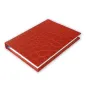 Preview: Vida, orange A7 Notebook, Croco pattern , Diary, Trixi Gronau