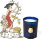 Preview: Cire Trudon, Duftkerze, le petite Bougie, im Glas, SALTA