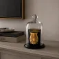 Preview: Trudon glass bell La Cloche with wooden tray, style