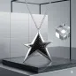 Preview: a cuckoo Moment, Ketten Anhänger Stern, Sterlingsilber, schwarzes Rochen, mit Kette