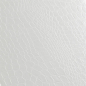 Preview: Surface Croco white