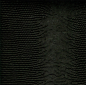 Preview: Surface Lizard black