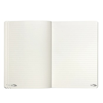 Preview: Caran d'Ache Toile de Jouy A5 notebook open showing lined pages