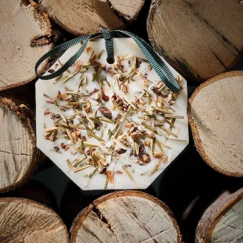 Preview: Carrière-Frères, BOTANICAL PALETS Foret d’Hiver , Duftanhänger , single