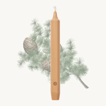 Carrière-Frères, Duft-Spitzkerze, Zeder beige