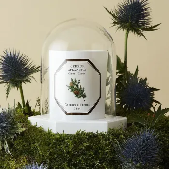 Preview: Carrière-Frères, Candle Cloche le Dome, glass, style