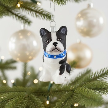 Preview: Christborn Christmas tree ornament French bulldog on fir branch