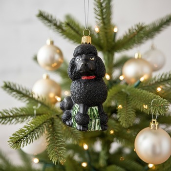 Preview: Christborn Christmas tree ornament white poodle on fir branch