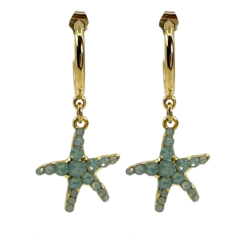 Ekaterini earrings starfish, lightblue Swarovski crystals brown cord and with gold accents