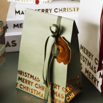 Preview: Gift wrap, gift bag, Merry Christmas green, embossed Merry Christmas cooper, side