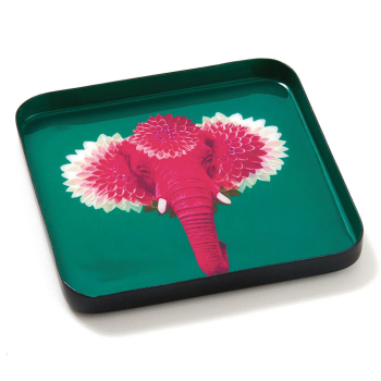 Preview: Gangzai Pachiii Vide Poche, Mini Tablett, quadratisch, Curiosito-Phoenix-Circus , seitlich