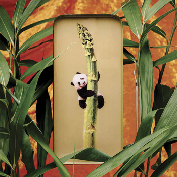 Preview: Gangzai Vide Poche, rechteckiges Tablett, SACHA, Tablett, rechteckig, Lack mehrfarbig,  style2