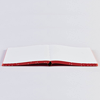 Nuuna, Notizbuch,Flex-Cover aus recyceltem Leder Seiten Punktraster, bedruckt blau-rot-weiss-gruen, Heartcore, geöffnet