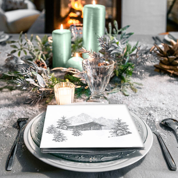Preview: Paviot napkin Refuge, print grey Mountain hut, style