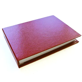 Trixi Gronau COCO Case red with pad