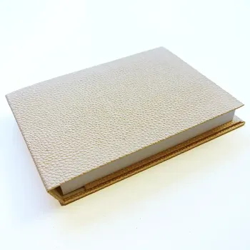 Trixi Gronau COCO Case Beluga Sand with pad