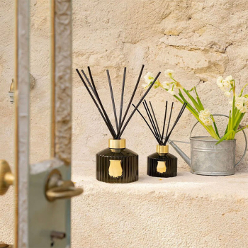 Preview: Trudon Diffuser Raumduft Gabriel, grünes glass, schwarz Stäbe, style2