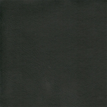 Surface Quinel black