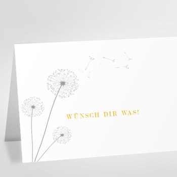 Trixi Gronau • wünsch Dir was Glückwunsch-gutschein-karte,Farbe weiss Offsetdruck rot, grau, Motiv