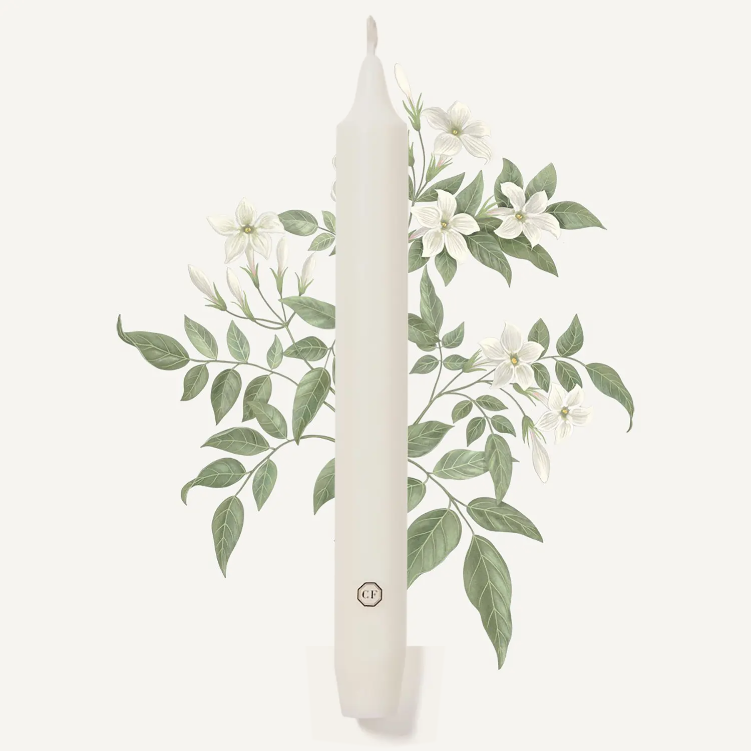Carrière Frères Duft Spitzkerzen Jasmin 6er Set