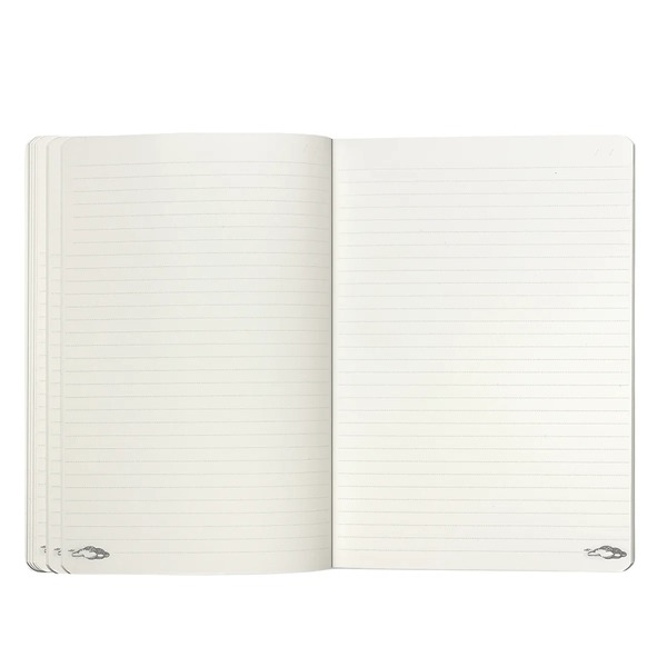 Caran d'Ache Toile de Jouy A5 notebook open showing lined pages