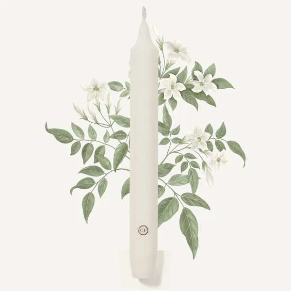 Carrière-Frères, Duft-Spitzkerze, Jasmine, cremeweiss