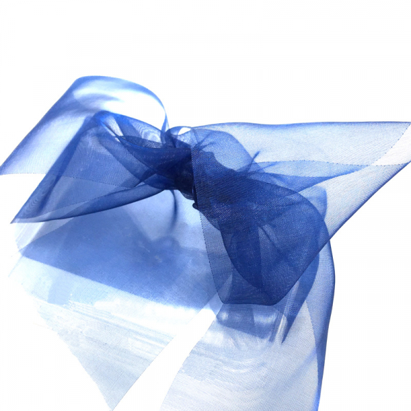 ribbon, transparent, 70mm, royal blue, detail