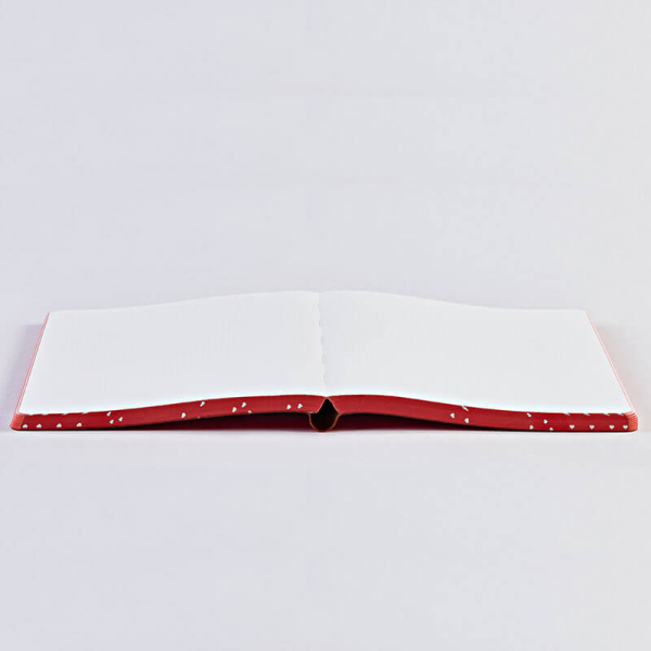Nuuna, Notizbuch,Flex-Cover aus recyceltem Leder Seiten Punktraster, bedruckt blau-rot-weiss-gruen, Heartcore, geöffnet