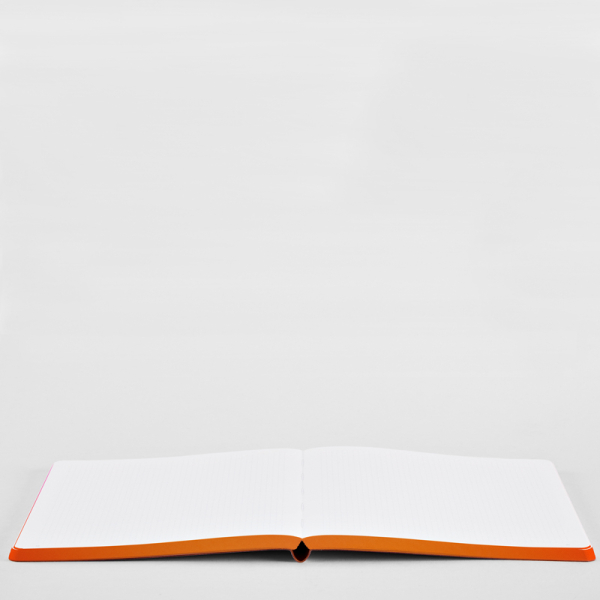 Nuuna, Notizbuch, Burn Flex-Cover aus recyceltem Leder Seiten minidots, Print pink -orange verlaufend flachliegend
