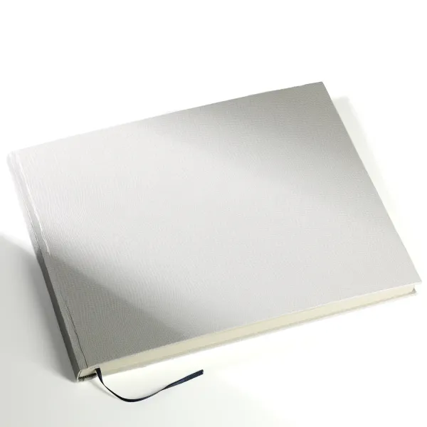 Nane, A4 Gästebuch, Echsen-Prägung weiss, Trixi Gronau