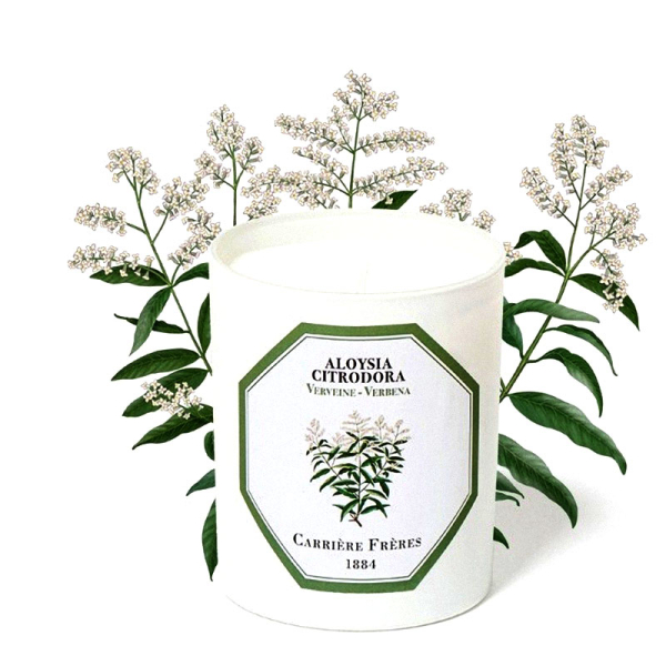 Carrière-Frères, Duftkerze, Verveine,, im Glas,
