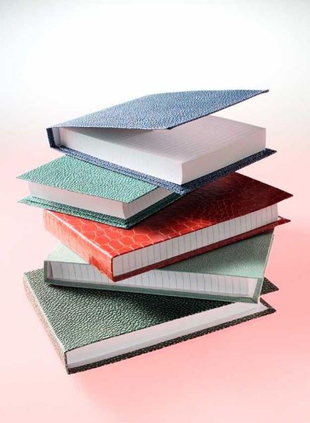Trixi Gronau COCO Etui mit Block Mix