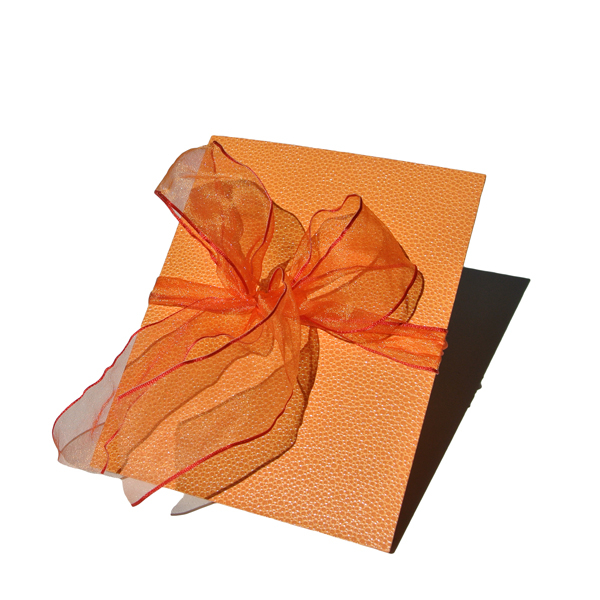Fotoleporello Nelly orange, 12 Seiten cremefarbener Karton Schleife, Echsenprägung